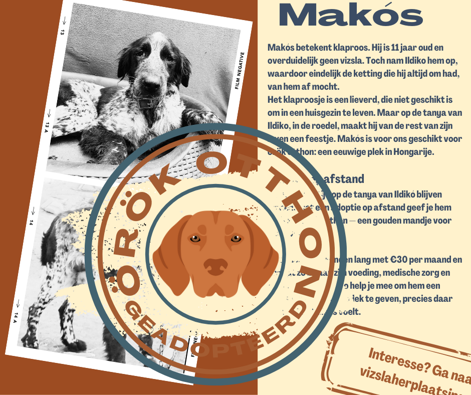 honden die al geadopteerd zijn