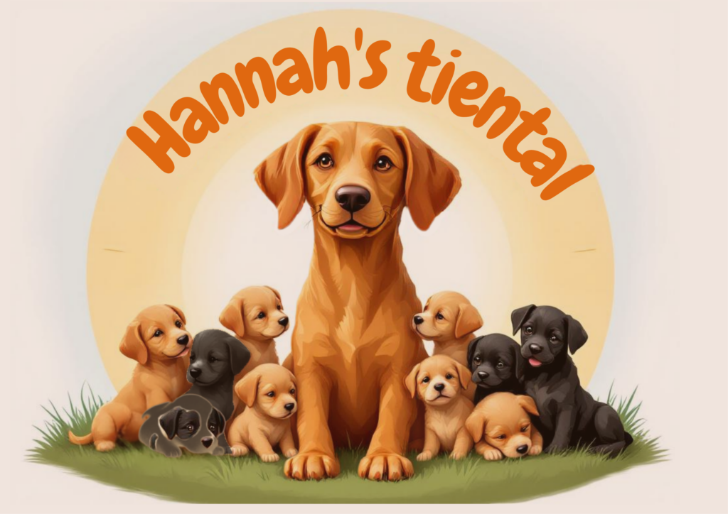 Logo voor Hannahs tiental: moederhond met tien pups, te herplaatsen via stichting vizsla herplaatsing
