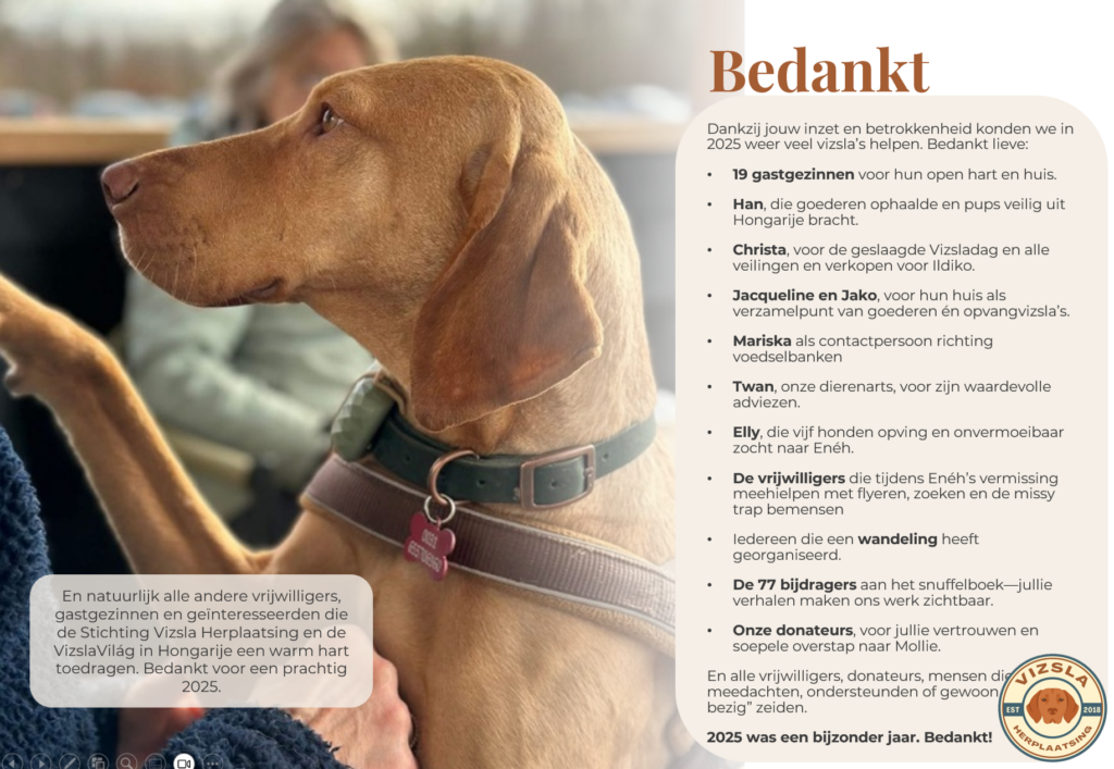 Bedankt tekst voor vrijwilligers Stichting Vizsla Herplaatsing